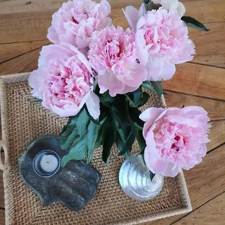 Haut De Avec Piscine Et Jardin *