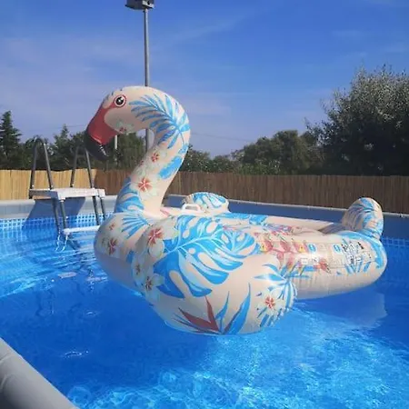 Haut De Avec Piscine Et Jardin *