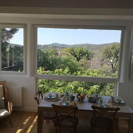 Haut De Avec Piscine Et Jardin בורם-לה-מימוזה